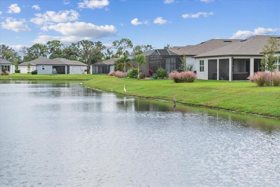 Natural landscape and outdoor views near Del Webb BayView in Parrish (Image 59). Natural landscape and outdoor views near Del Webb BayView in Parrish (Image 59).