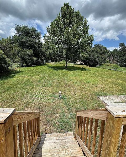 Natural landscape and outdoor views near  in Lakeland (Image 23).