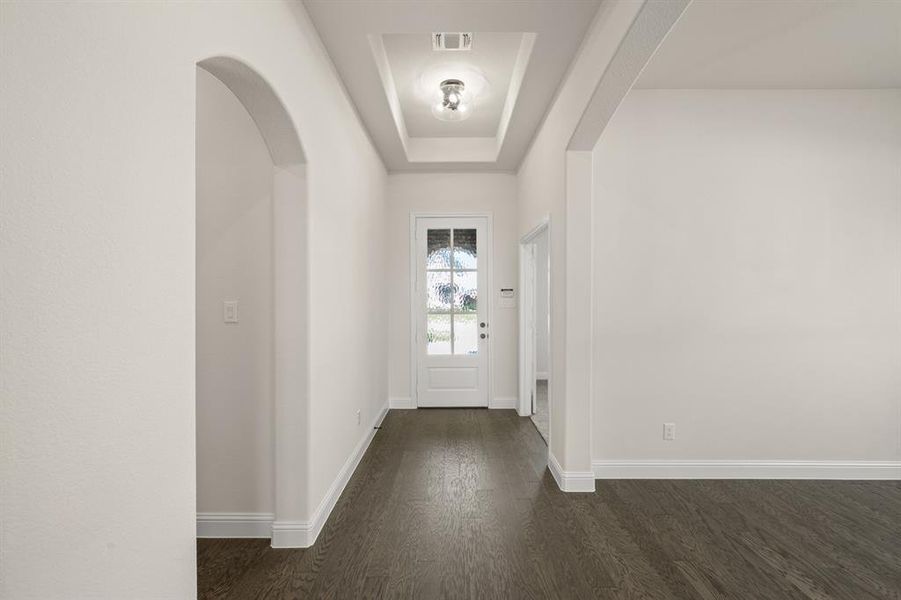 224 Pine Leaf- Entry-1 224 Pine Leaf- Entry-1