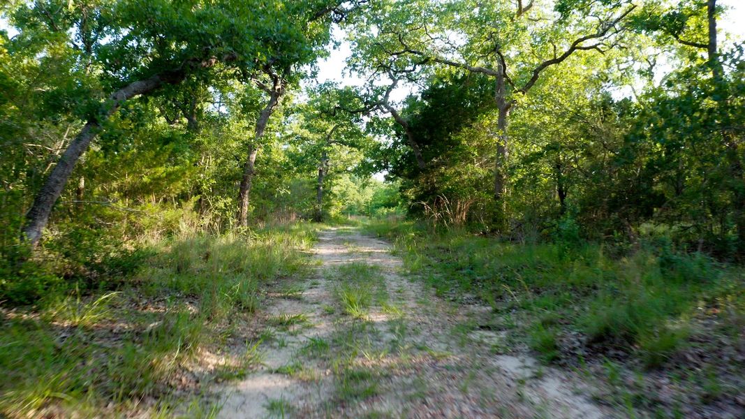 Natural landscape and outdoor views near Lakeside at Millican Reserve in College Station (Image 33). Natural landscape and outdoor views near Lakeside at Millican Reserve in College Station (Image 33).