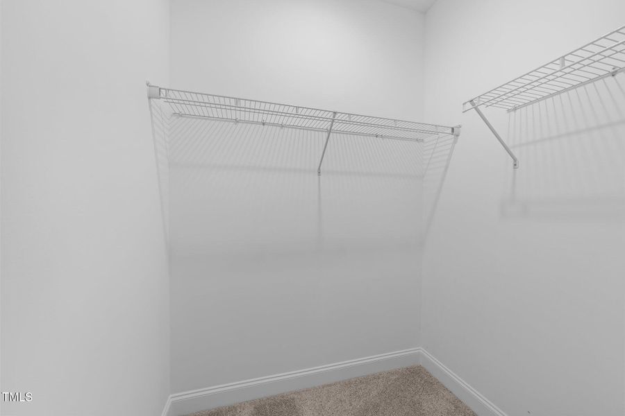 35-web-or-mls-3D5A6977