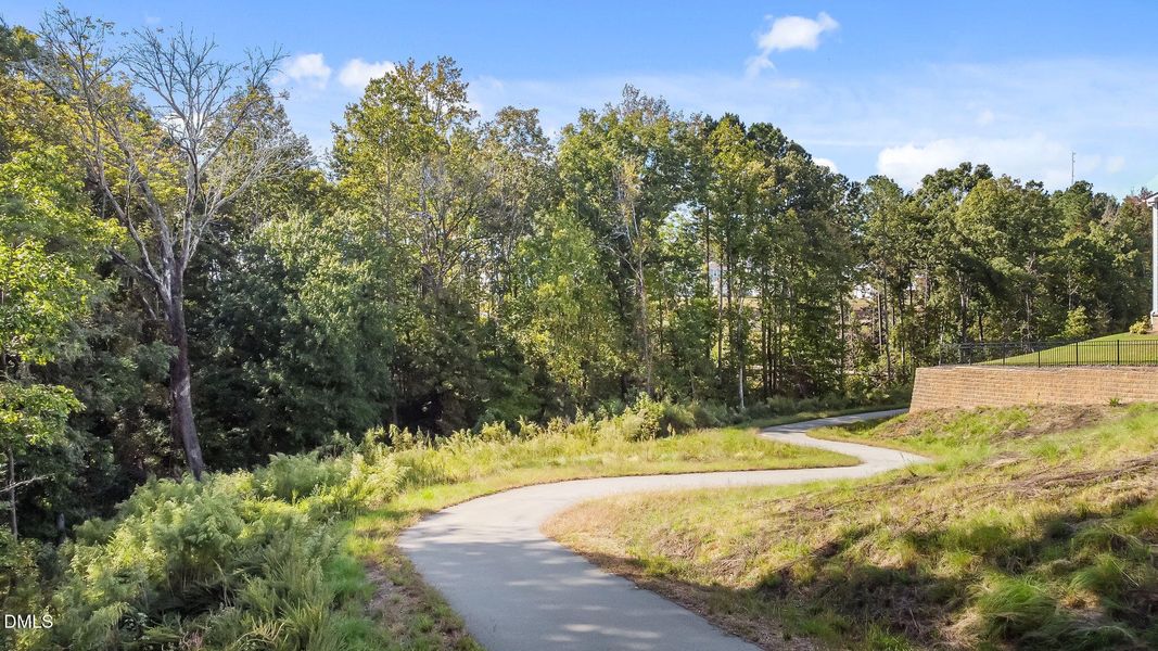 14-web-or-mls-12-DJI_0193 14-web-or-mls-12-DJI_0193