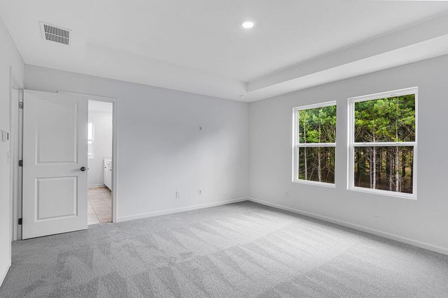 Spacious, unfurnished interior of a new home in Heritage River, Euharlee (Image 29). Spacious, unfurnished interior of a new home in Heritage River, Euharlee (Image 29).