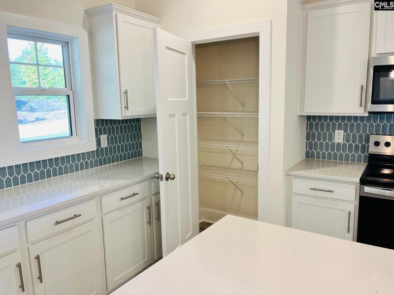 Furnished interior view inside a new home in Blythewood Farms, Blythewood (Image 6).