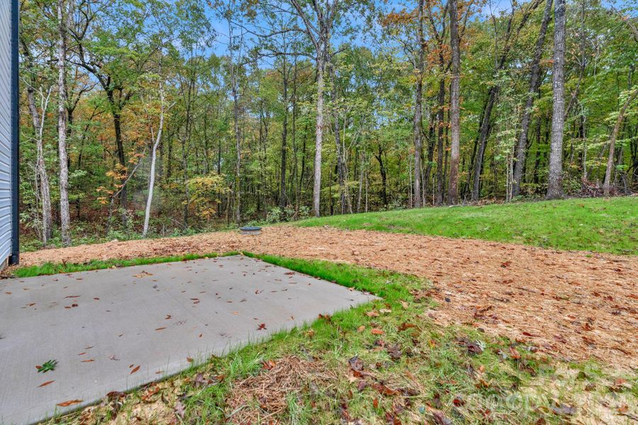 Natural landscape and outdoor views near  in Monroe (Image 35).