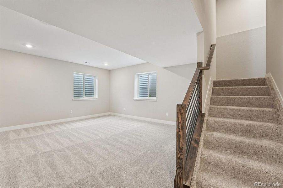 BASEMENT RECREATION ROOM