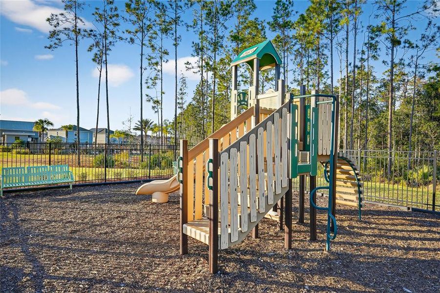 Community amenities in Preserve at LPGA: Manor Collection, Daytona Beach (Image 33).