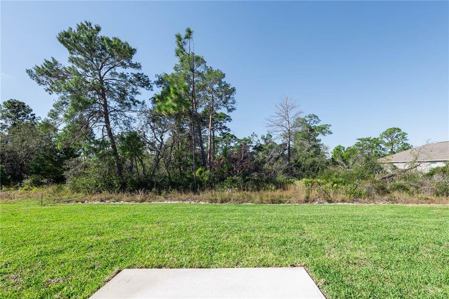 Natural landscape and outdoor views near  in Sebring (Image 24).