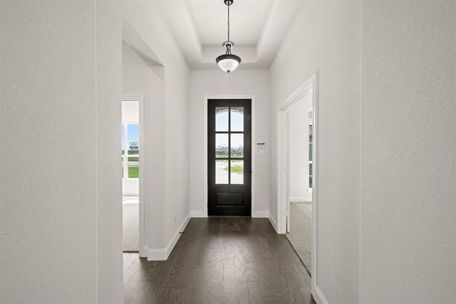 108 Red Fox- Entry-1