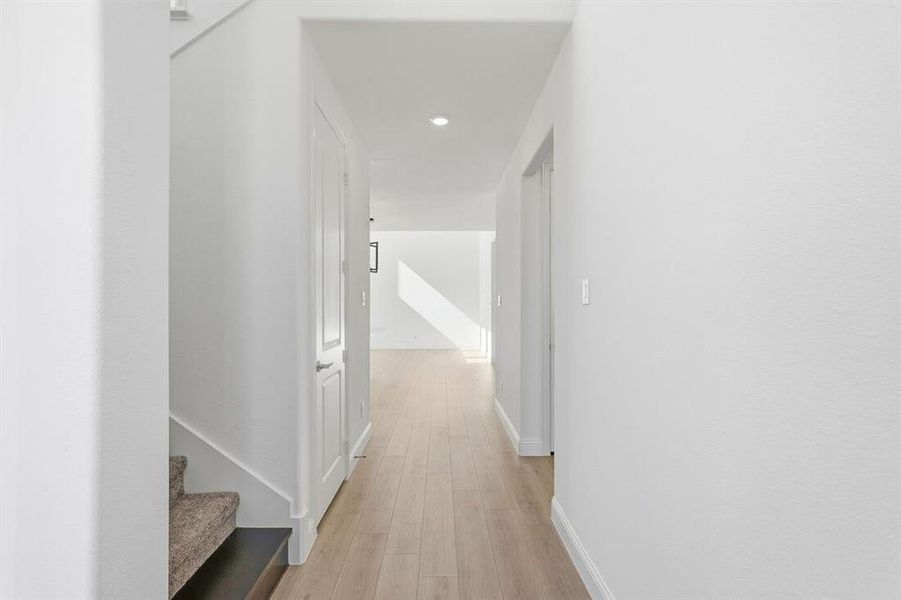 1008 Rainshower ~ Ready Now 1008 Rainshower ~ Ready Now