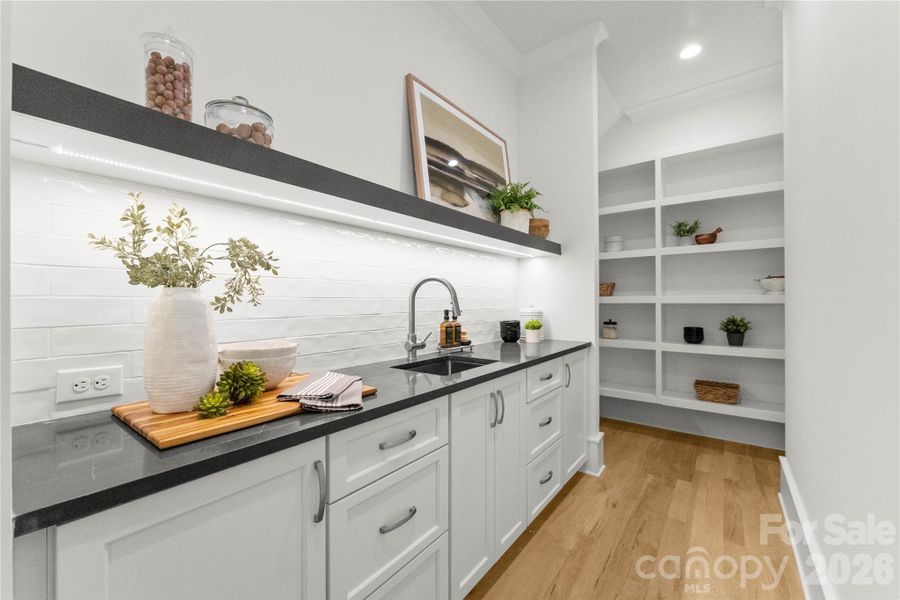 Walk-in large pantry with sink, shelves Walk-in large pantry with sink, shelves