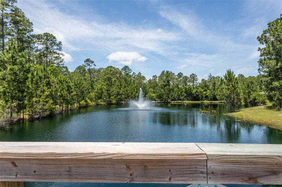 Natural landscape and outdoor views near  in Bunnell (Image 29).