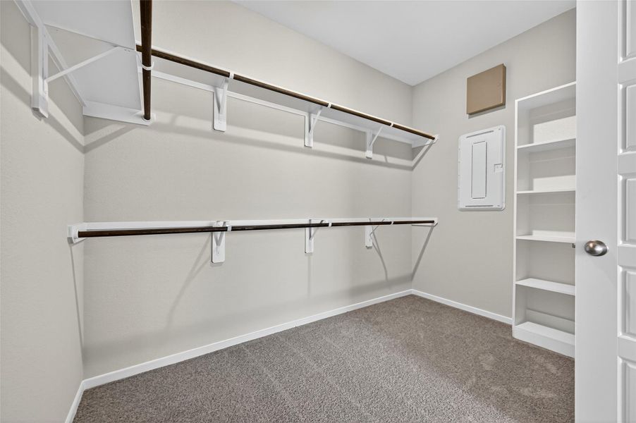 Spacious, unfurnished interior of a new home in Cypress Green, Hockley (Image 34).