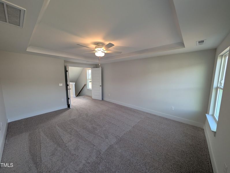 PXL_20250317_195630528