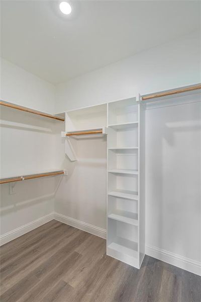 Spacious closet featuring wood-type flooring