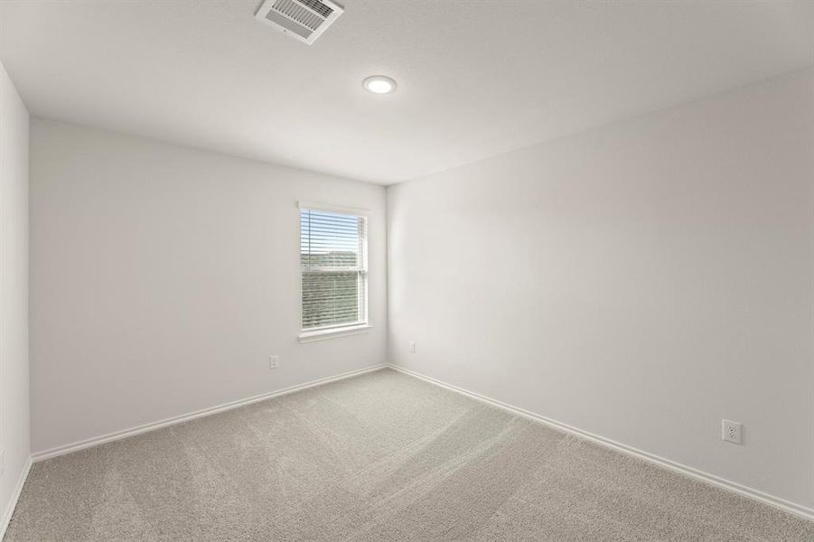 24. 3312 Sedge Grass - Bed 5