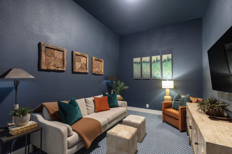 Representative Entertainment Room - some options shown Representative Entertainment Room - some options shown