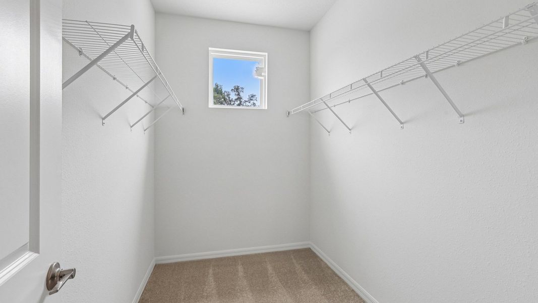 The Primary Closet