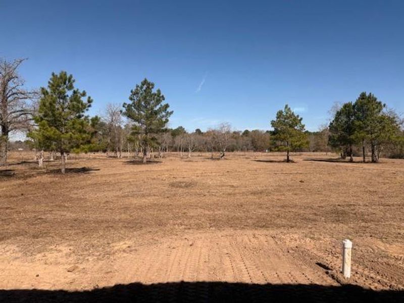 Site preparation for new homesites in , Waller (Image 4).