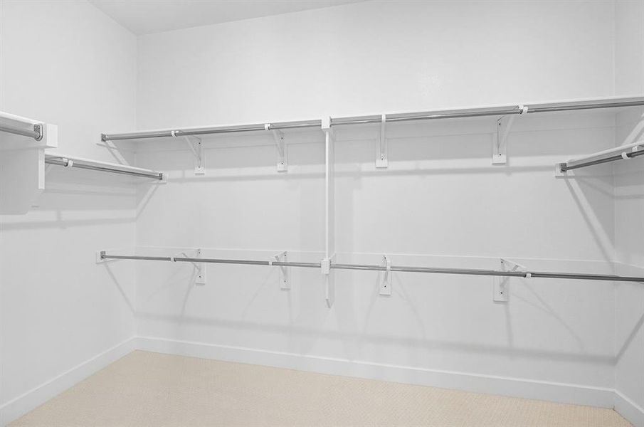 Walk in closet featuring carpet flooring
