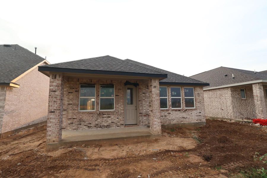 Backyard - still under construction!