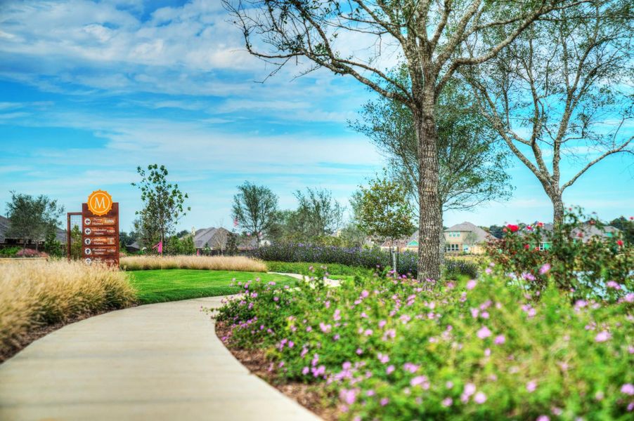 Image 17 of a home in Meridiana: 40ft. lots.