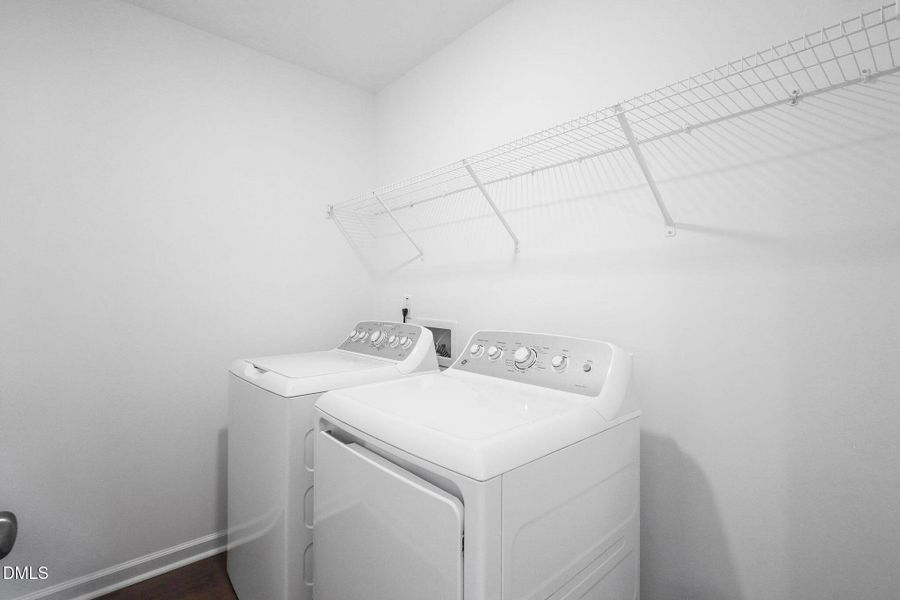 SUN_CaitlinCrossing_Pic_Davidson-34