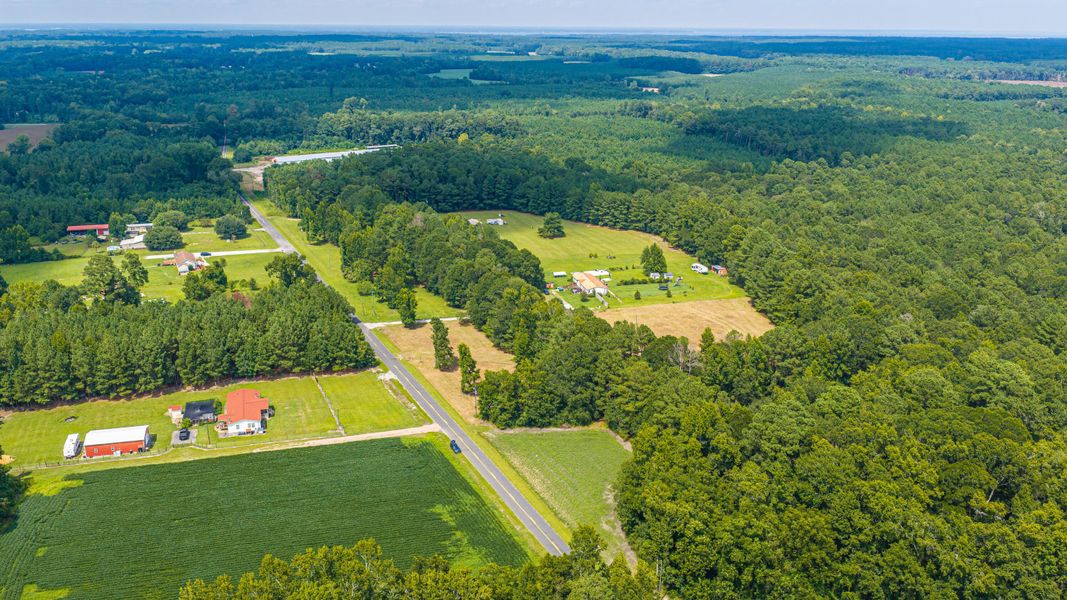 Natural landscape and outdoor views near  in Holly Hill (Image 56).