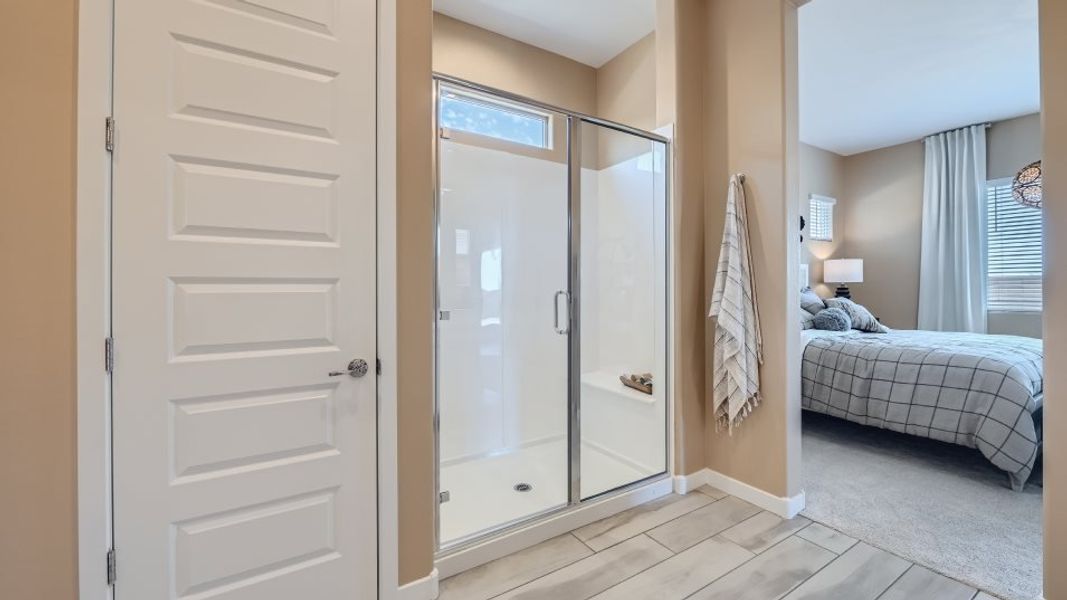 Owner's bathroom and shower