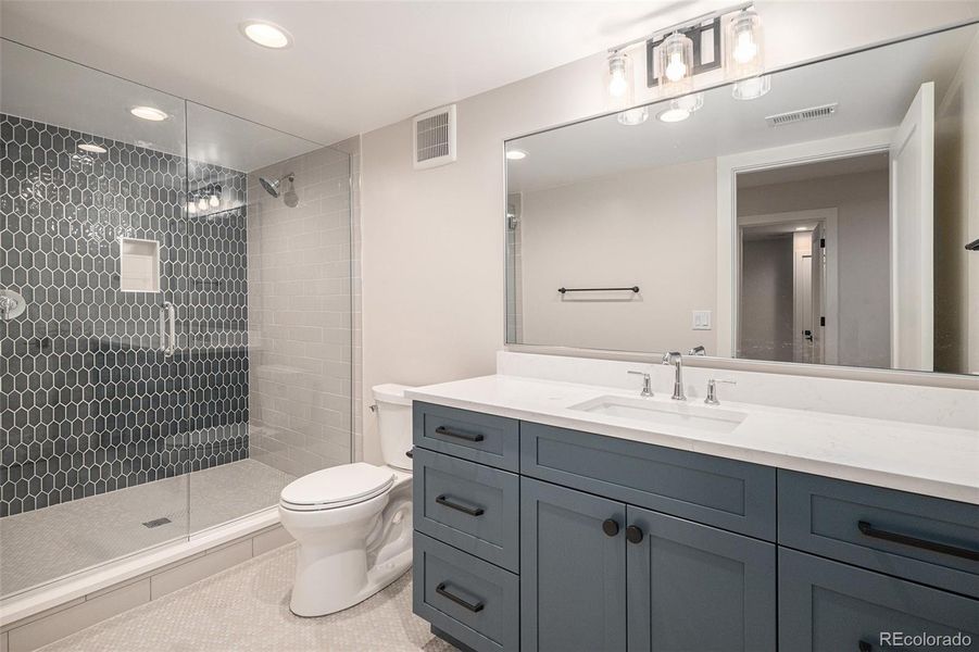 Basement bathroom, amazing shower!