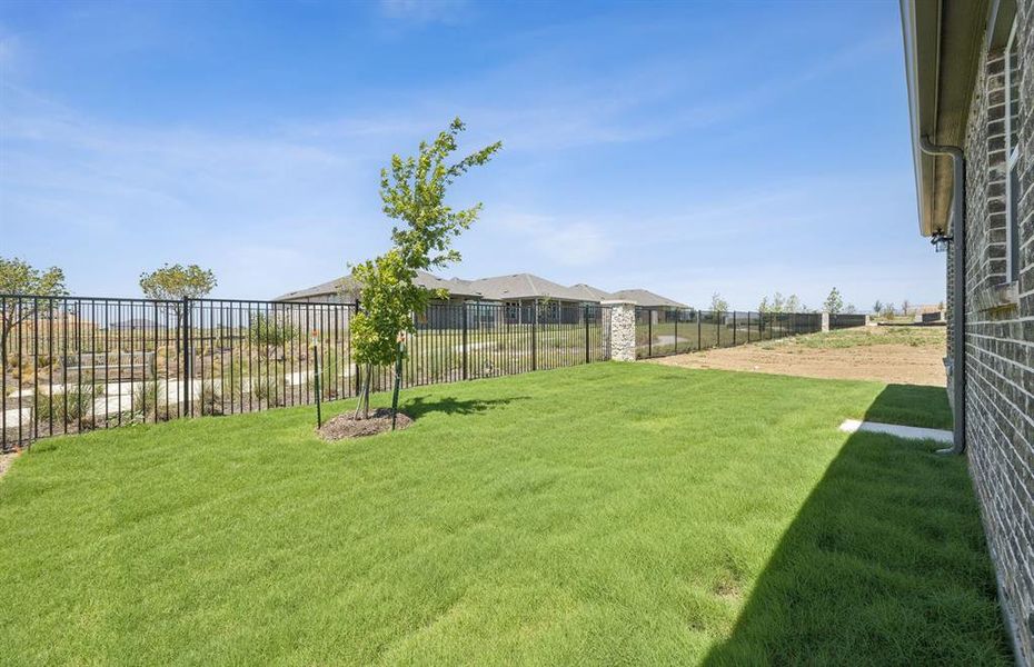 Spacious backyard Spacious backyard