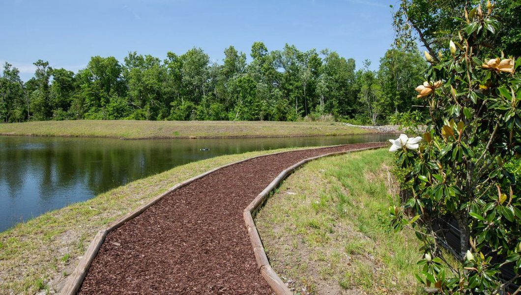 Natural landscape and outdoor views near Waterside Townhomes in Surf City (Image 38).
