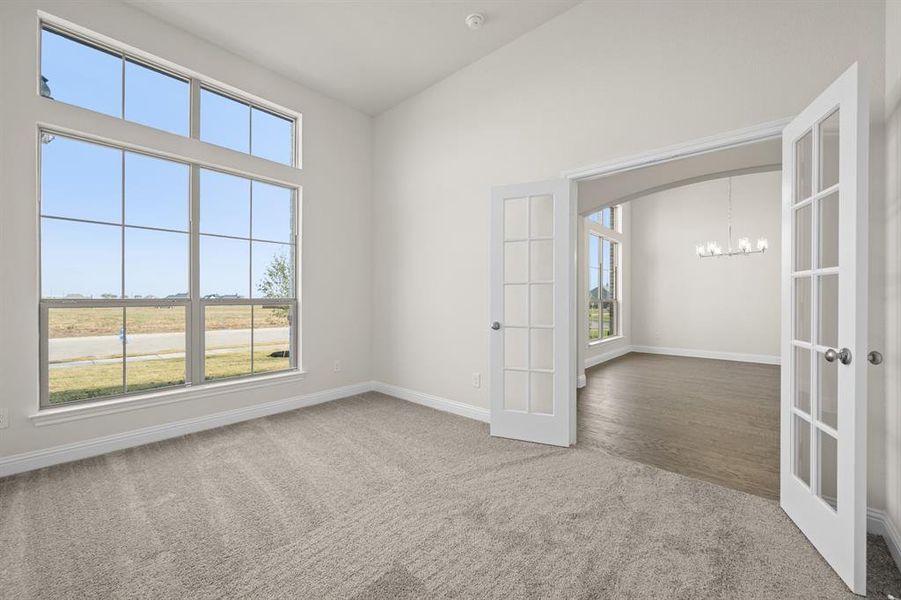 105 Grey Wolf- Study