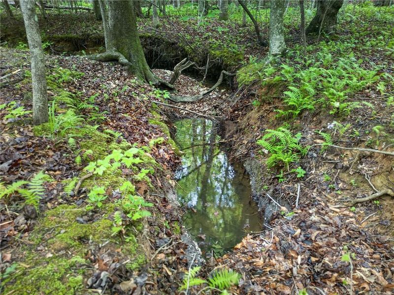 Natural landscape and outdoor views near  in Rockmart (Image 49).