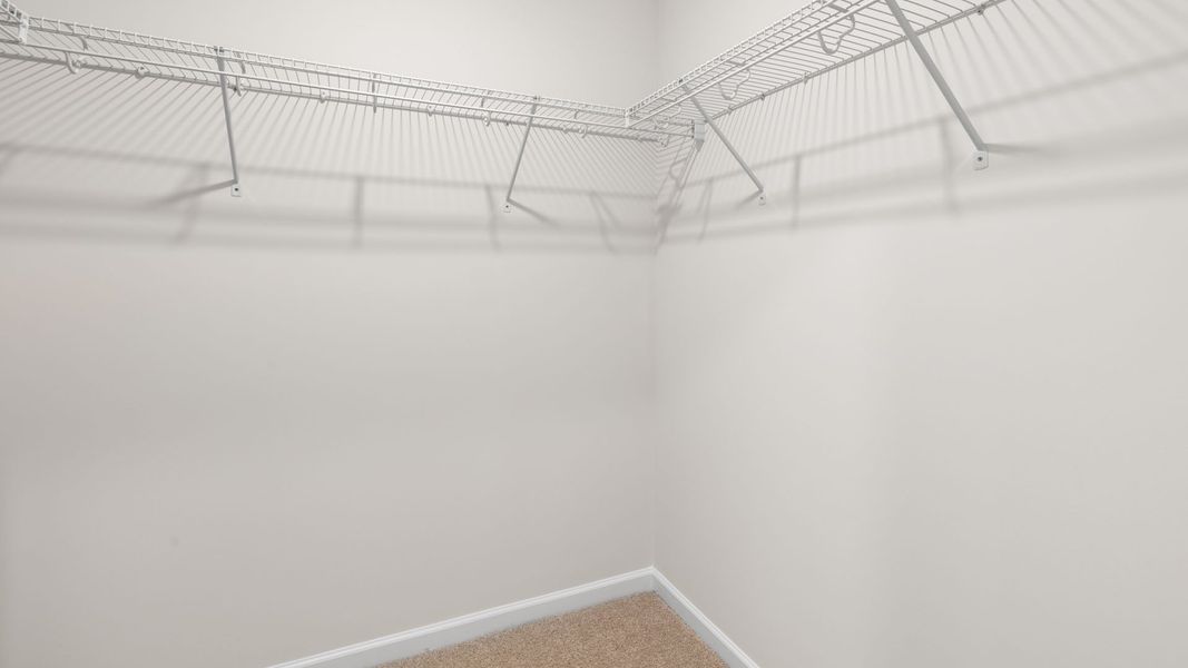 Spacious, unfurnished interior of a new home in Waverly Place, Linwood (Image 19).