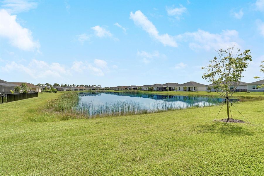 Lake Views