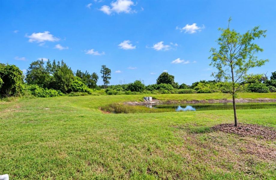 Natural landscape and outdoor views near  in Apollo Beach (Image 59).