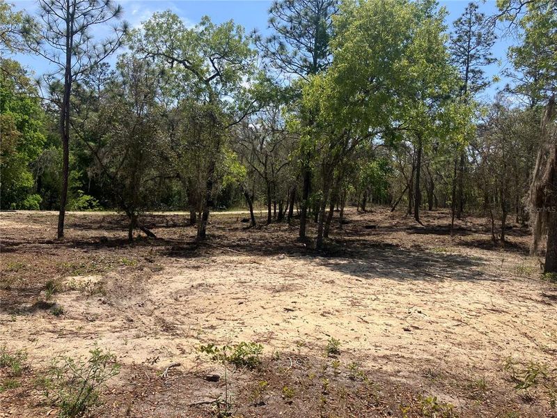 Natural landscape and outdoor views near in Morriston (Image 12). Natural landscape and outdoor views near in Morriston (Image 12).