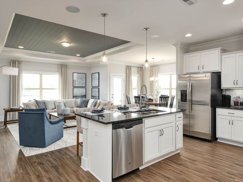 Representative furnished interior of a home built from the The Daphne E by Davidson Homes LLC in Bailey Park, Fayetteville (Image 6).