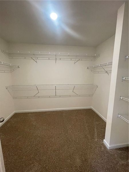 Spacious, unfurnished interior of a new home in Springwood Grove, Central (Image 37).