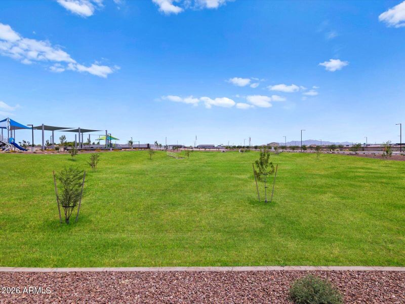 Allure Vista Community 19