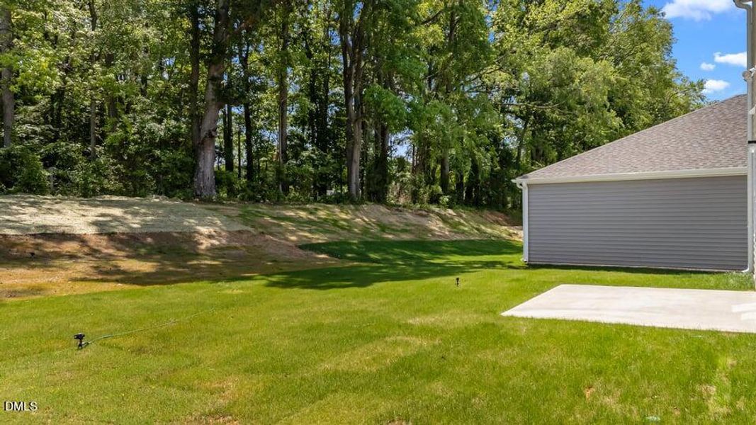 10-custom-DJI_20250520122558_0284_D