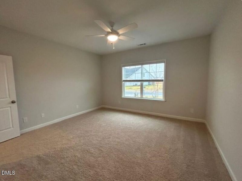 IMG_5043 (Medium) IMG_5043 (Medium)