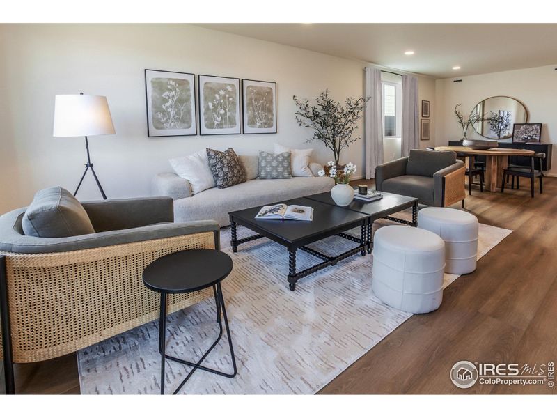 EXAMPLE PHOTO: LIVING ROOM AND DINING ROOM