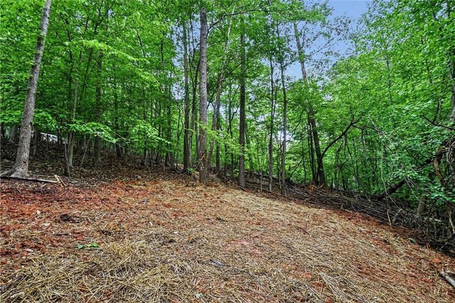 Natural landscape and outdoor views near  in Marietta (Image 25).