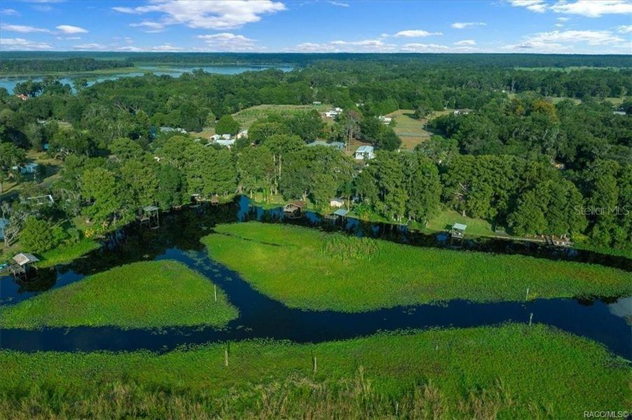 Natural landscape and outdoor views near in Crystal River (Image 25). Natural landscape and outdoor views near in Crystal River (Image 25).