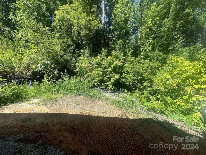 back yard with creek at bottom of hill