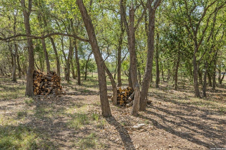 Natural landscape and outdoor views near  in Blanco (Image 31).