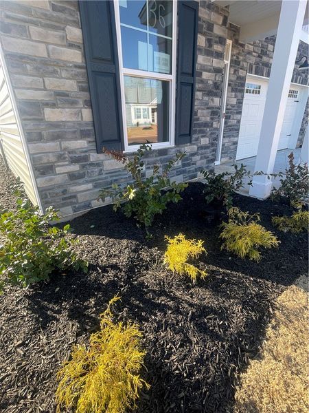 Exterior details and patio area of a home in Springwood Grove, Central (Image 2).