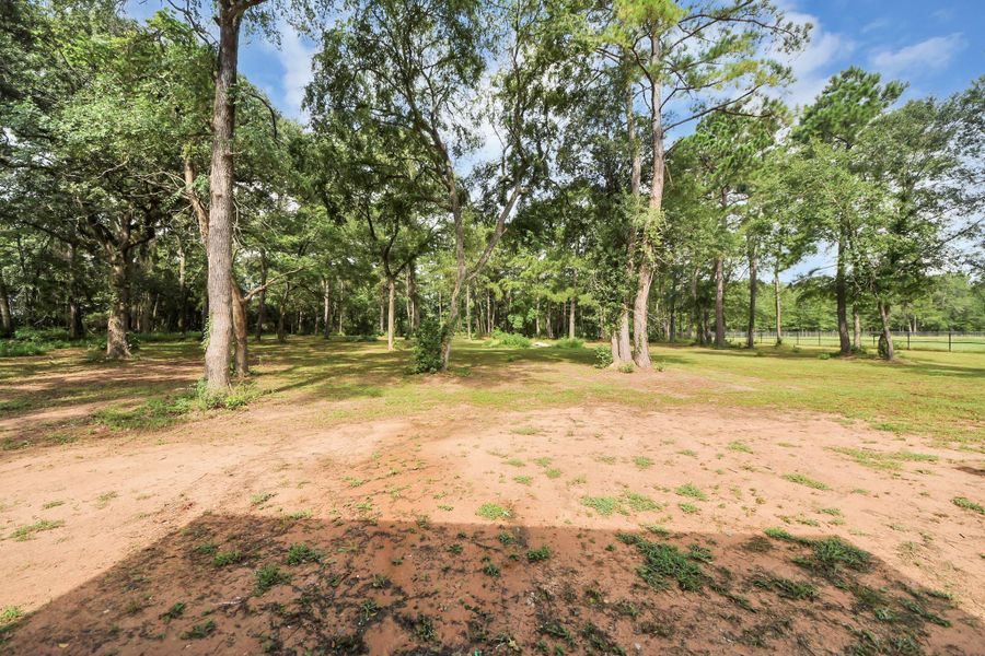 Natural landscape and outdoor views near  in Plantersville (Image 17).